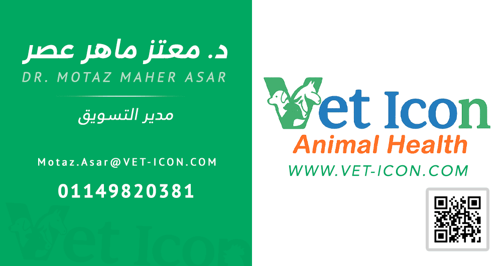 بطاقة أعمال فيت أيكون من أعمال الهوية الأصلية