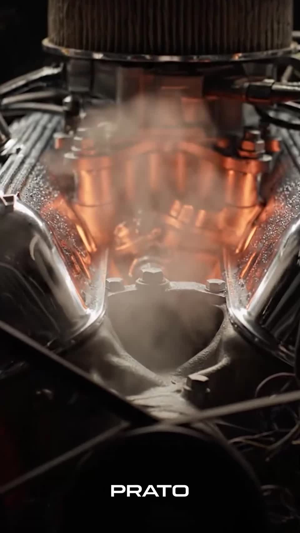 فيديو إثبات اجتماعي للبراند