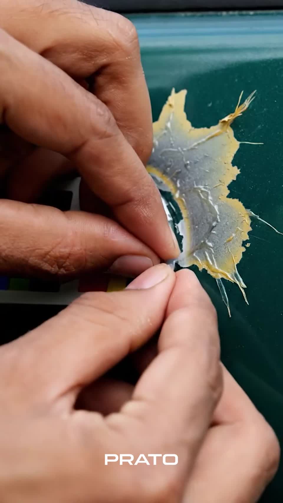 فيديو تصميم منشور سوشيال ميديا